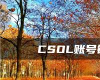 CSOL账号锁定方法