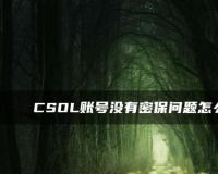 CSOL账号没有密保问题怎么找回密码？