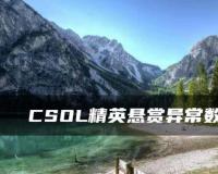 CSOL精英悬赏异常数据核查及处理